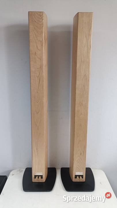 ASW OPUS niemieckie i smukłe kolumny audio Poznań