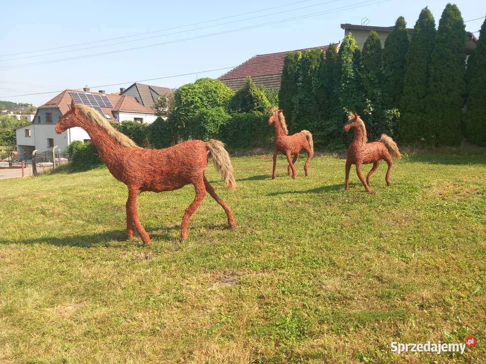 Konie na dożynki Racibórz