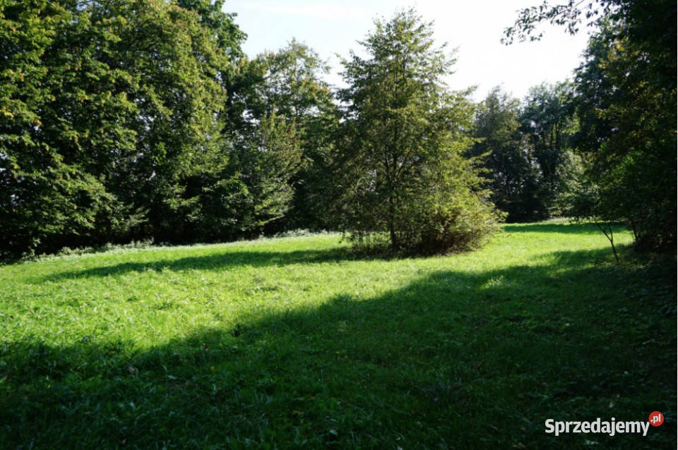 Unikatowy park pod Warszawą Grunty i działki Kiełki sprzedam