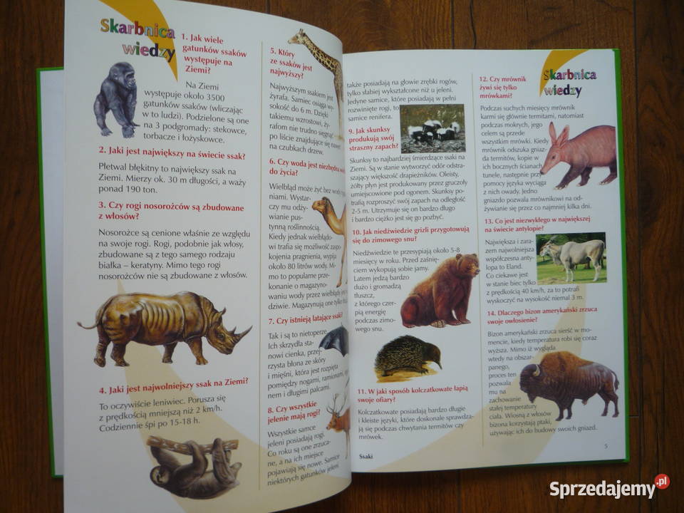 NOWA Książka Królestwo zwierząt Skarbnica wiedzy