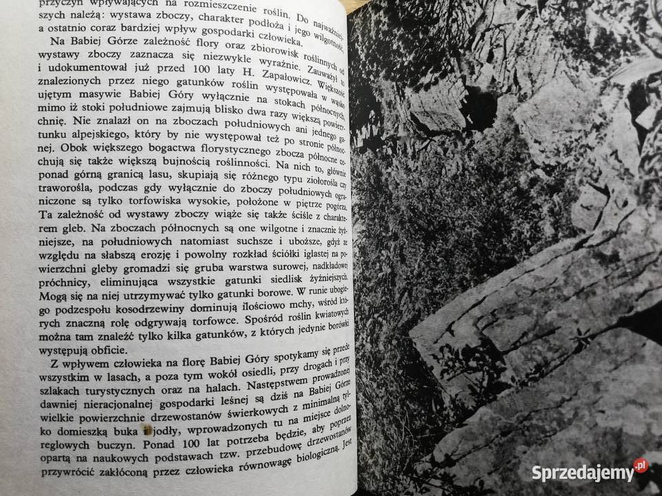 Babia Góra Teofil Wojterski Kraków