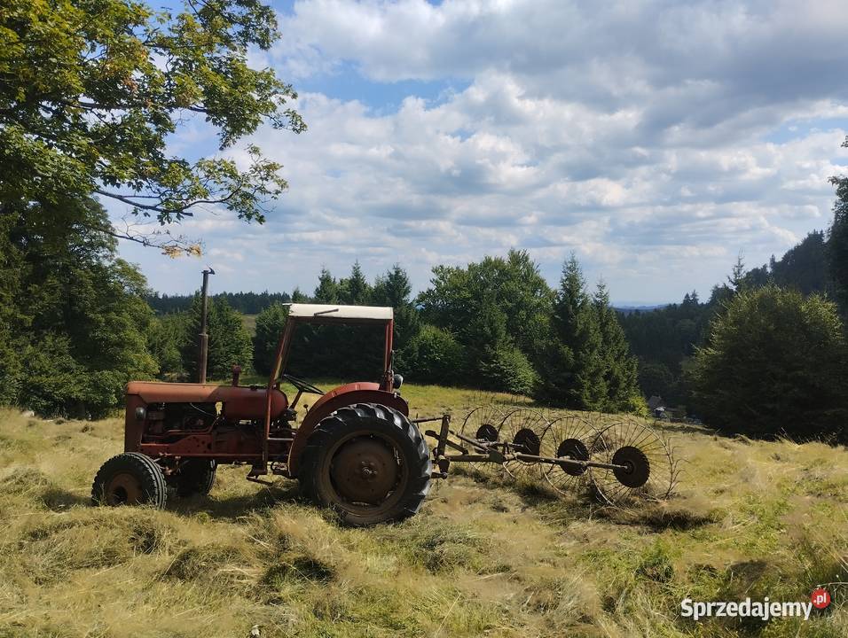 Kostki siana najwyższej jakości Sokołowsko