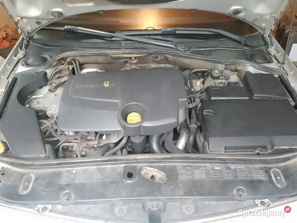 Renault Laguna II ph II 19 dCi 130 4/5 Poturzyn