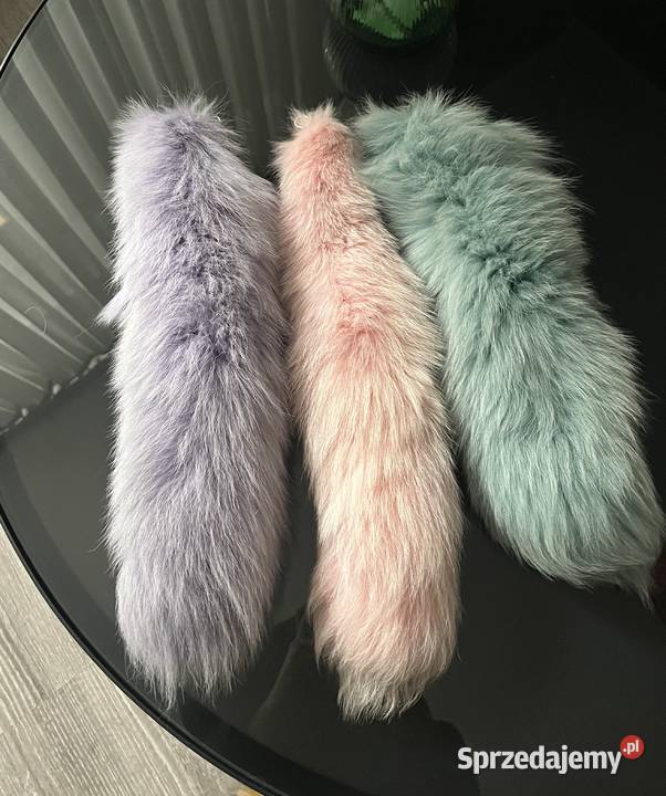 Lisia kitaogonbrelok z lisa kolor pudrowy małopolskie Szaflary