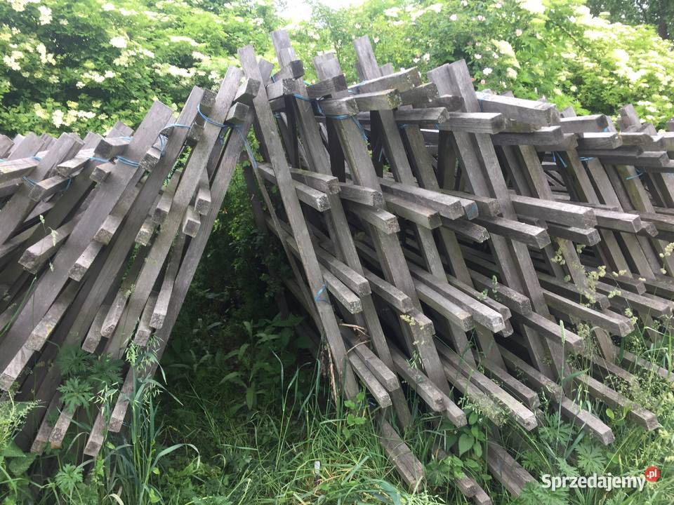 Kozly stelaz do suszenia ziol mieta melisa Wodzisław