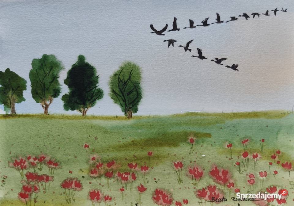 Oryginalna Akwarela Odlatują Ręcznie malowana Gdynia