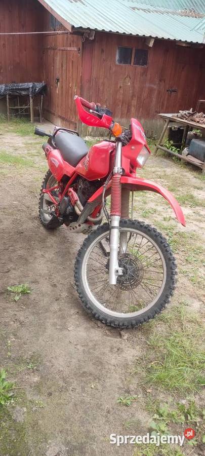 Honda Dorohusk