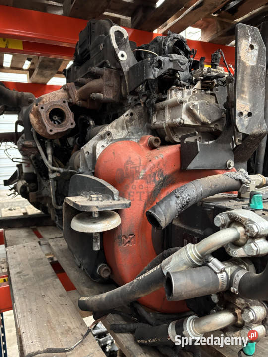 Merlo P 347 Silnik Blok Pompa Kolektor Wał Miska Jastrzębniki sprzedam