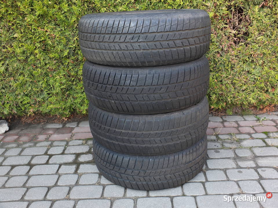 Barum Polaris 5 2156017 Sobolew