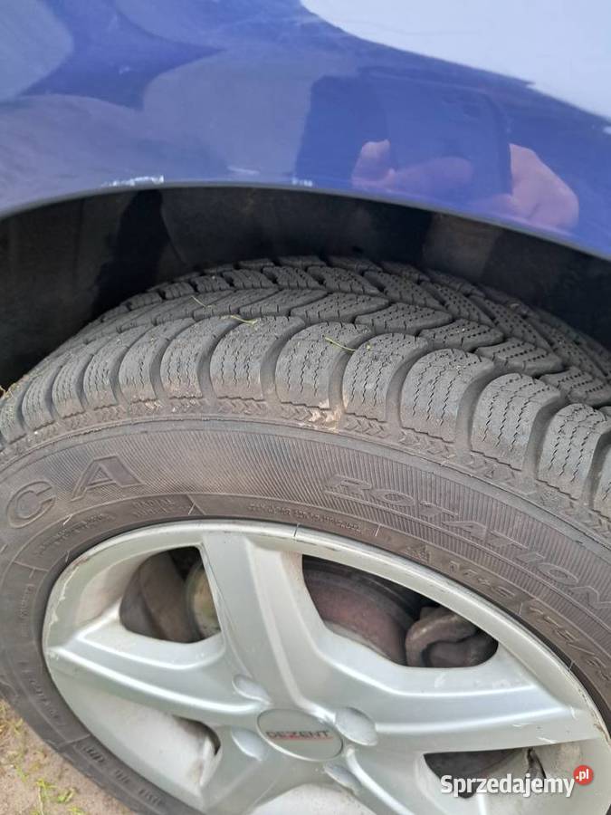 Renault Thalia Polski salon mazowieckie Kołodziąż-Rybie