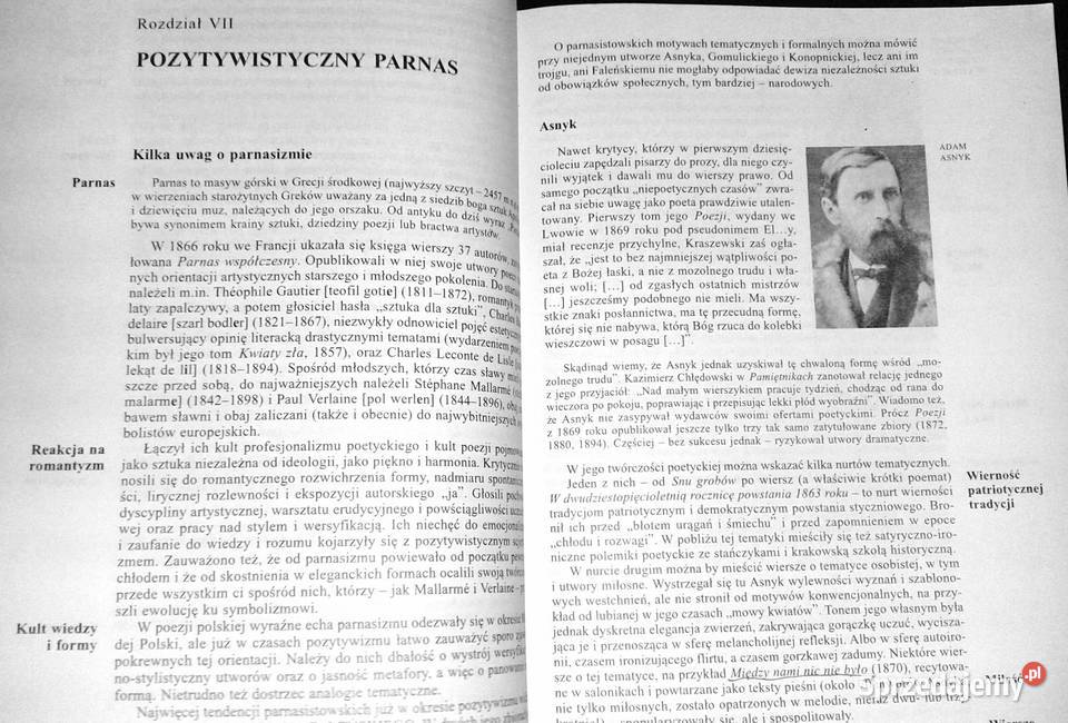 Pozytywizm Podręcznik szkół ponadpodstawowych lubelskie Chełm sprzedam