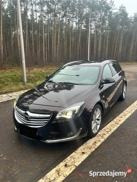 Opel Insignia Kruszyn