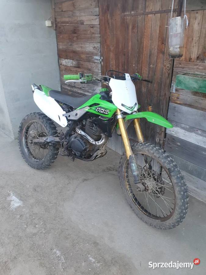 Diabolini xb 31 250 Diabolini Kozłów sprzedam