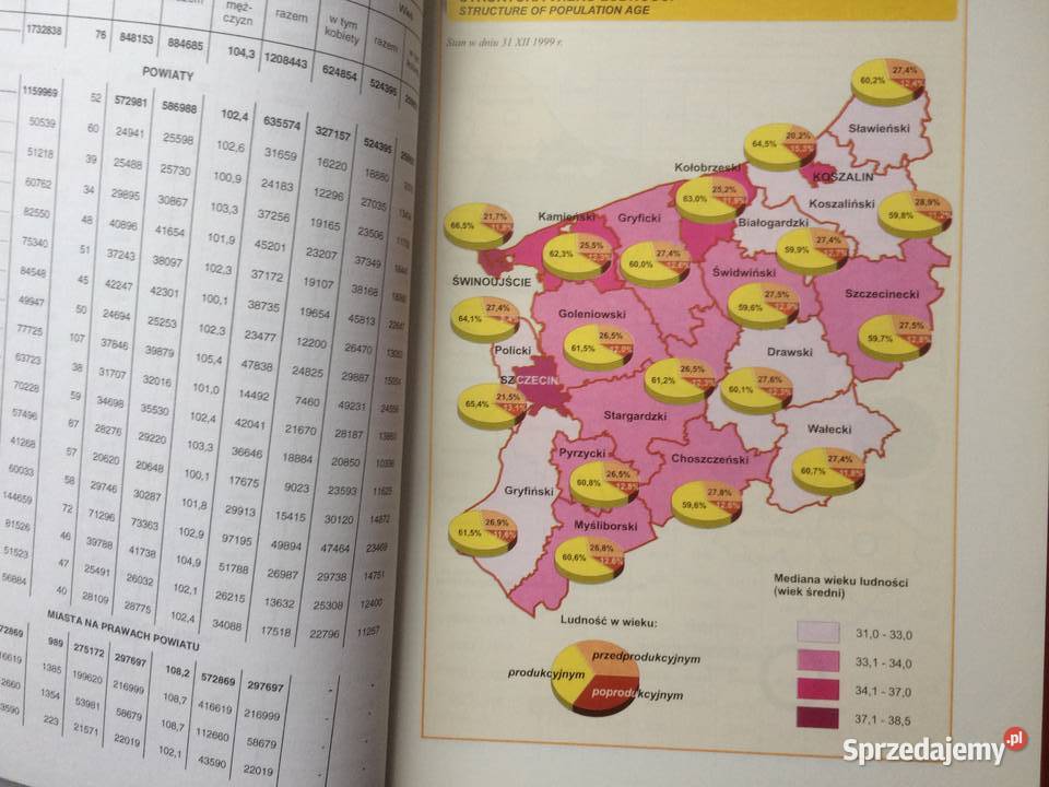 3161 Rocznik Statystyczny Woj Szczecin sprzedam