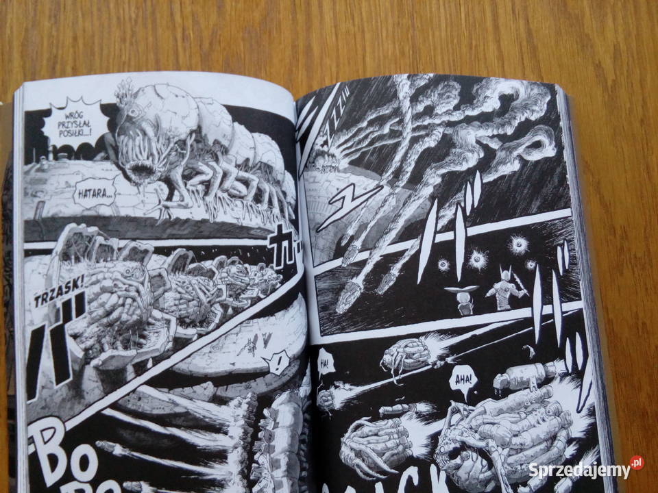 Bibliomania Komiksy lubelskie Stężyca