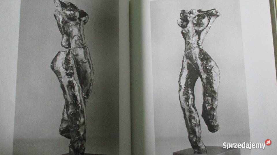 Henri Matisse malarstwo rzeźba sztuka Matisse Łódź sprzedam