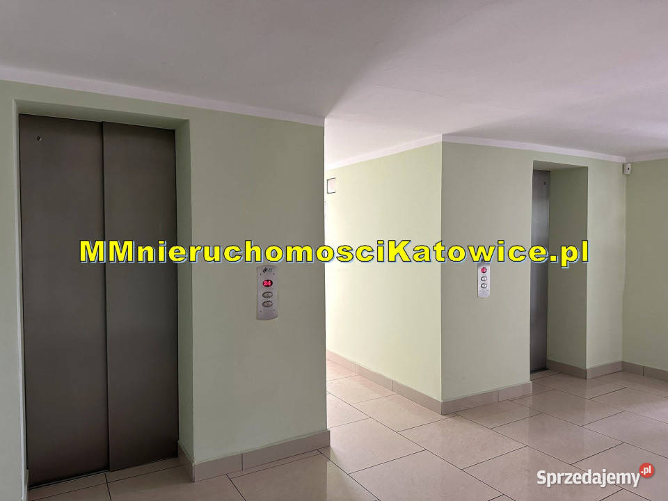 Nowoczesny biurowiec do wynajęcia w Katowicach 1000m2 Katowice