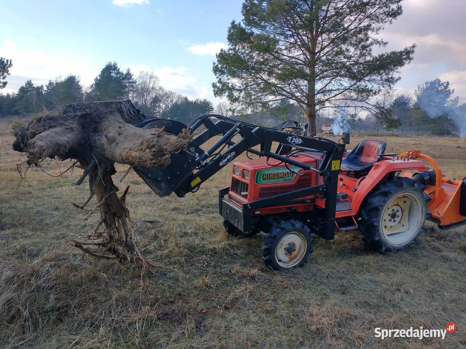 Prace ogrodnicze jesienne porządki karczowanie