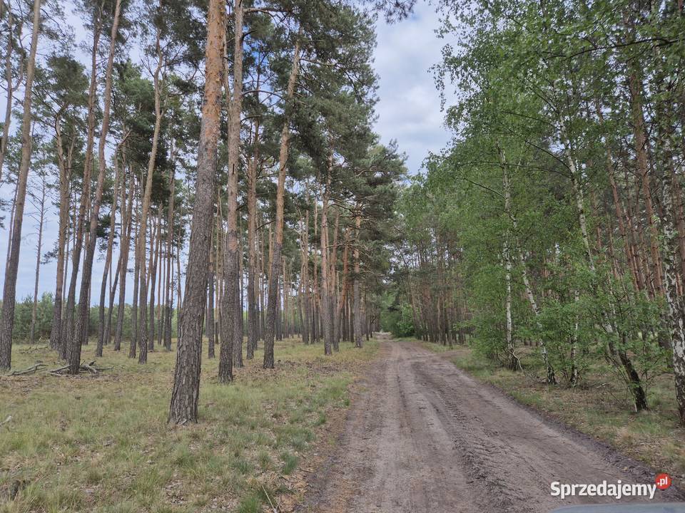 Działka Solec 2800mkw 2800m2 sprzedam