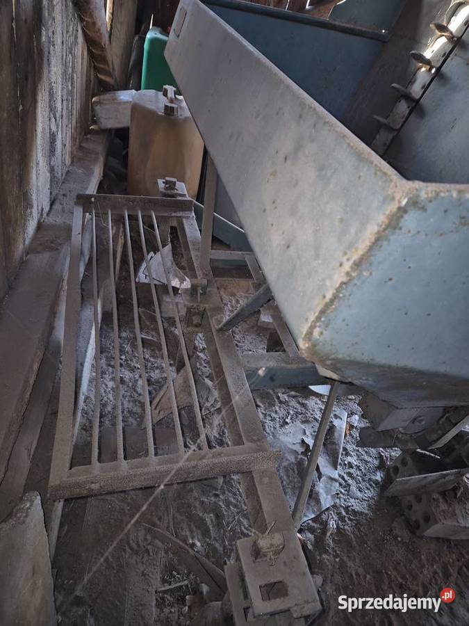 Sadzarka kubełkowa polska świętokrzyskie Strzeszkowice