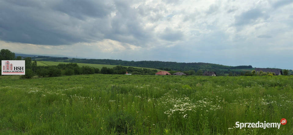 Działka na sprzedaż Michałowice 2450m2 małopolskie