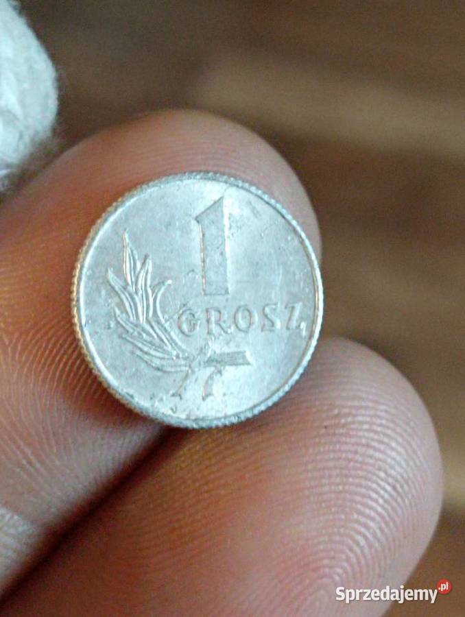 Sprzedam drugi 1 grosz 1949 r bzm Numizmatyka Chełm