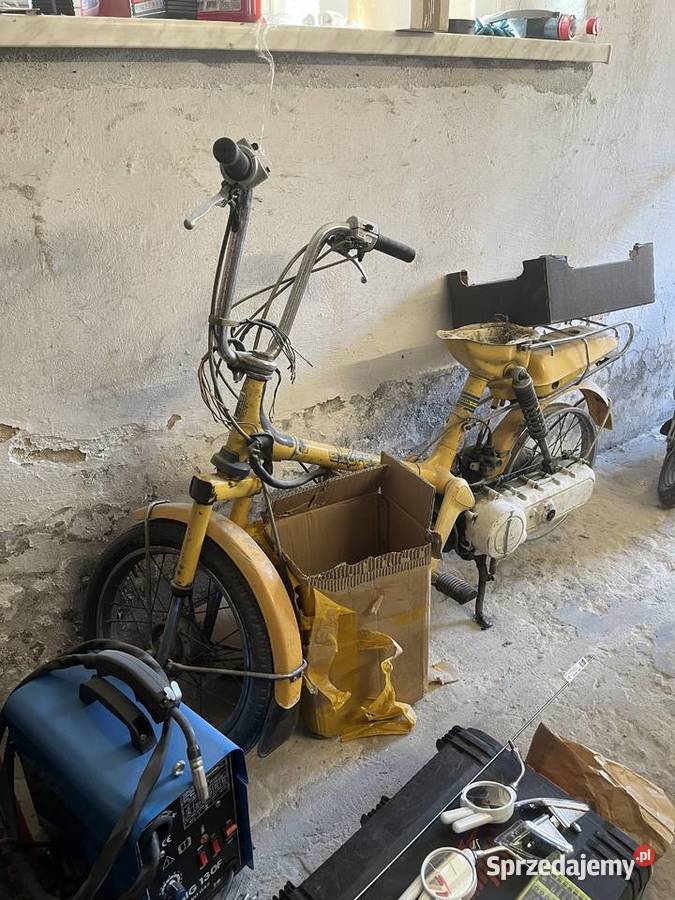 Honda Caren i Honda Express Katowice