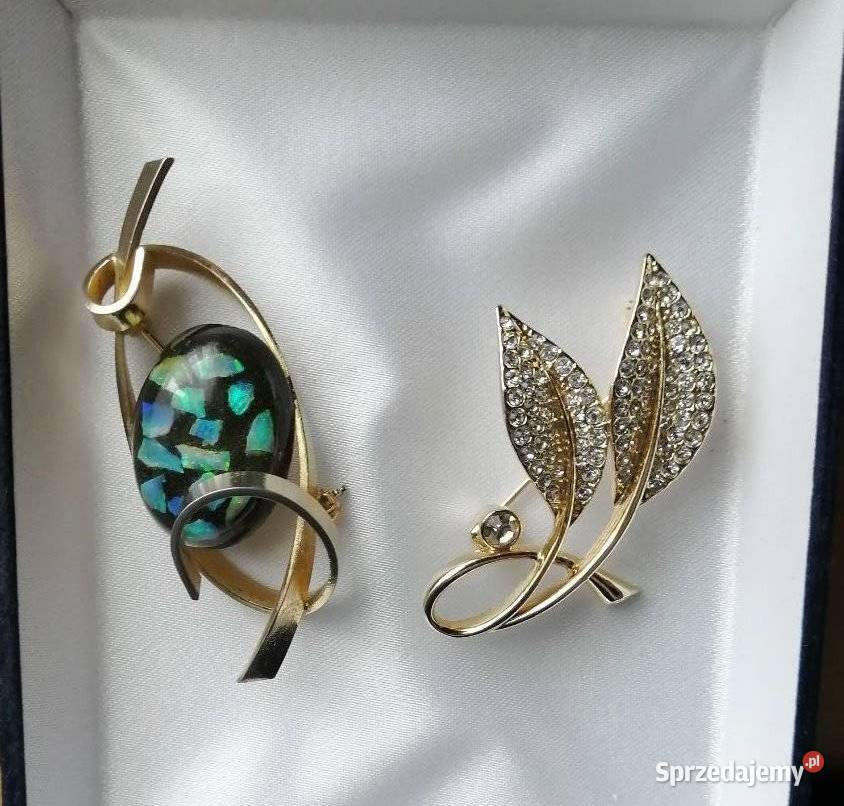 Klasyczny wykwintny broszki Lublin