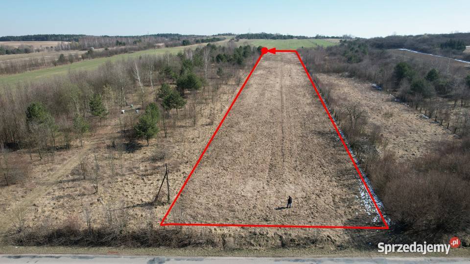 Dzierżawa 110 ha ziemi rolnej Włodowice powiat