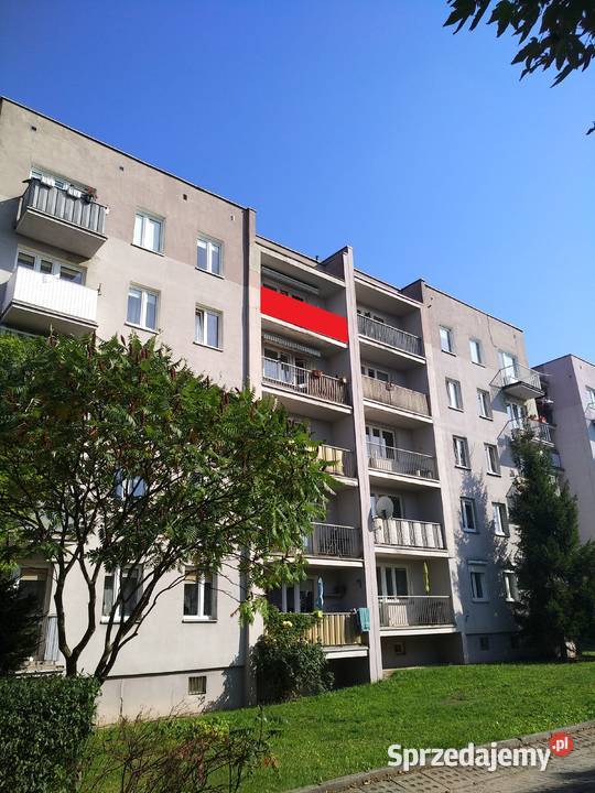 Wynajmę powierzchnię reklamową Świetna obok Cas Wynajem powierzchni reklamowej