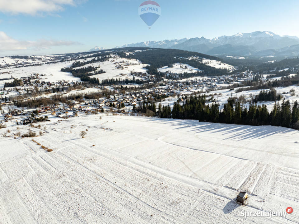 MAŁA DZIAŁKA ROLNA W WITOWIE Sprzedaż Witów