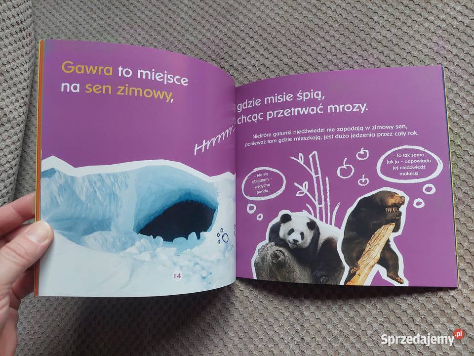 O gawrach czyli niedźwiedzich łóżkach Becky