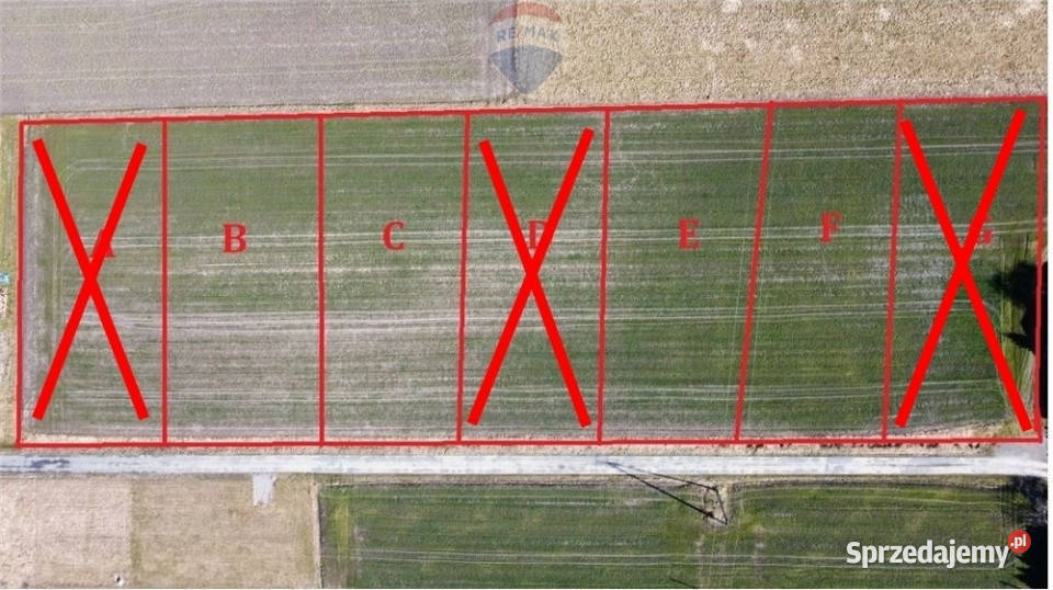 Działka budowlana w Zaborzu Sprzedaż