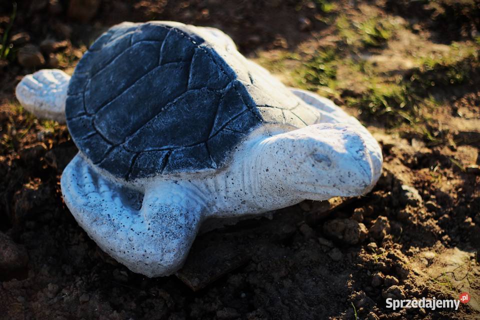 Figury rzeźby ogrodowe betonowe żółw Rzeźby i figury dolnośląskie Goliszów