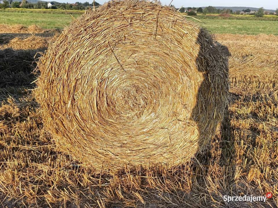 Prasa rolująca John Deere 550 świętokrzyskie Daleszyce