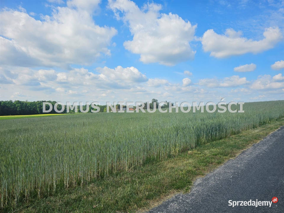 sprzedaży gruntu Tworzyjanki 3000m2