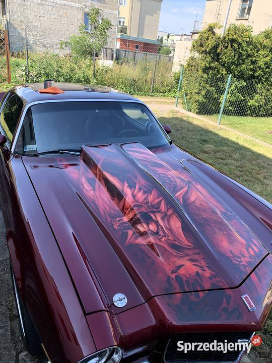 Chevrolet Camaro nieuszkodzony Reda