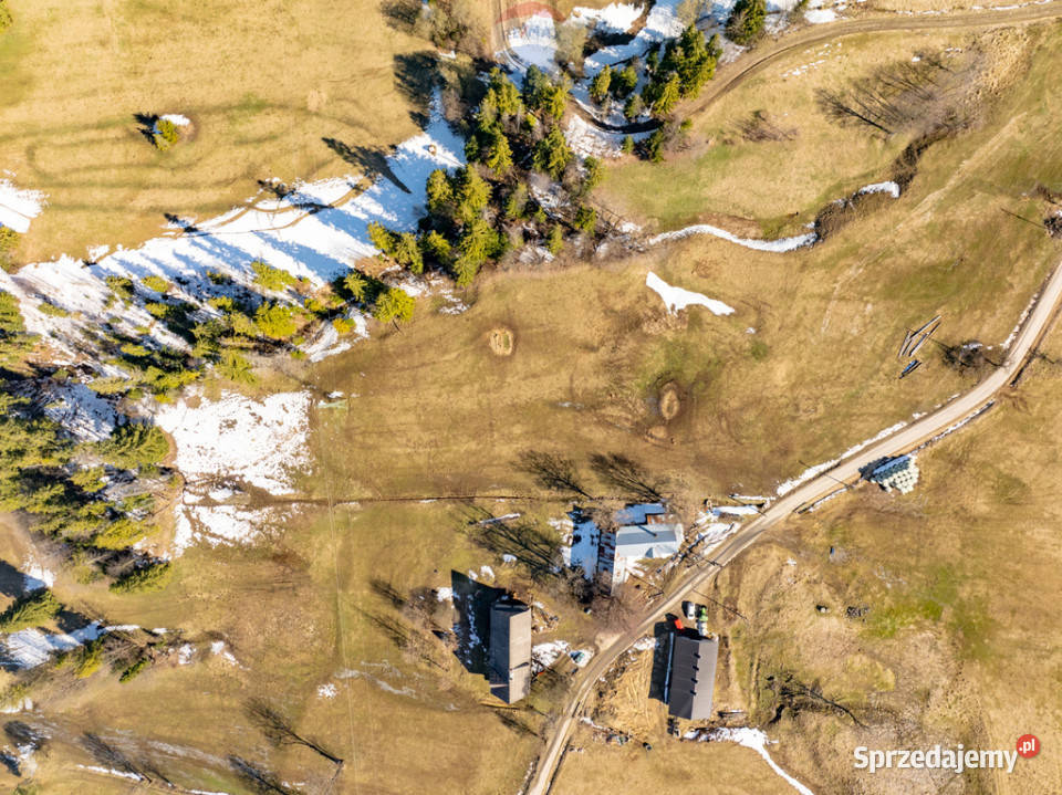 Sierockie działka 5901m2 WZtka 4 domy