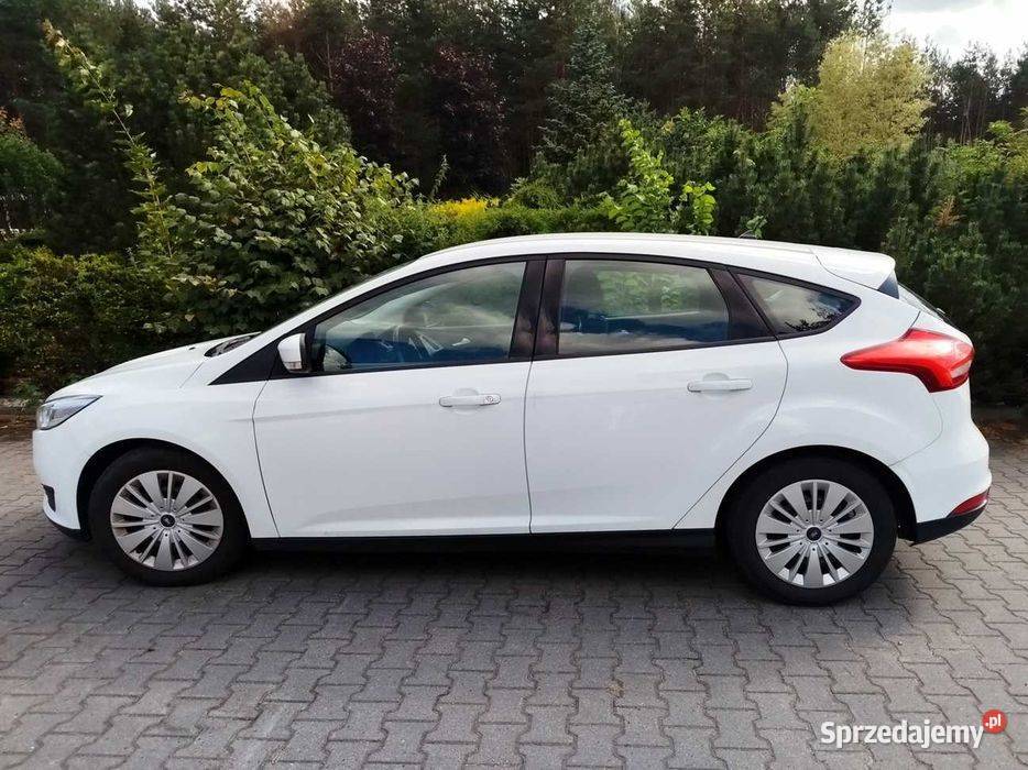 Ford Focus 2018 15 TDCi 95 Salon Polska Focus Łowicz