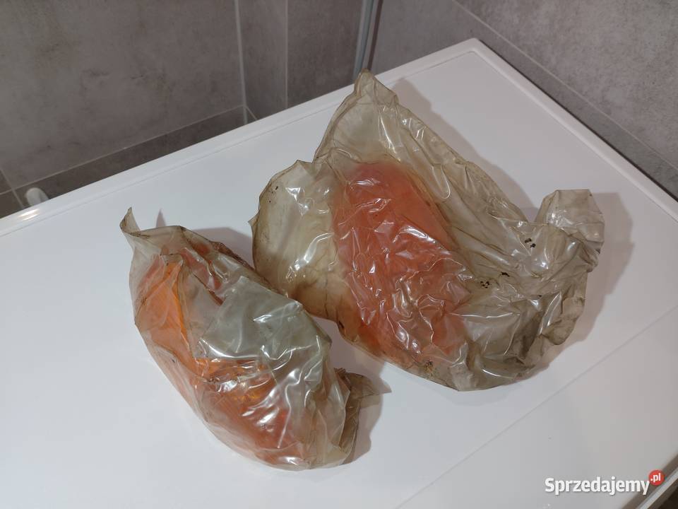 Fabrycznie nowe lampy Polmo Zem Kwidzyn Jelcz Gliwice