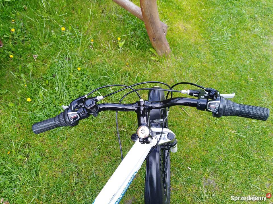 Kross zorg Alu 24 wysyłka Radom