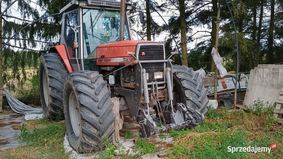 Mądry Ferguson tuz Massey Ferguson Krasnystaw