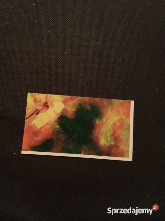 Epoka lodowcowa naklejka ze stokrotki 101 Pozostałe mazowieckie Warszawa