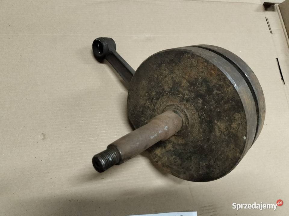 Pannonia wał korbowy Rozkochów