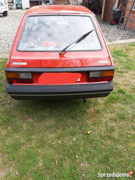 Polonez akwarium Kalisz