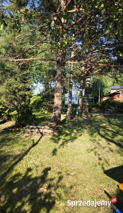 Działka ROD 292 m Pruszków ROD Perła 32 000 Sprzedaż mazowieckie