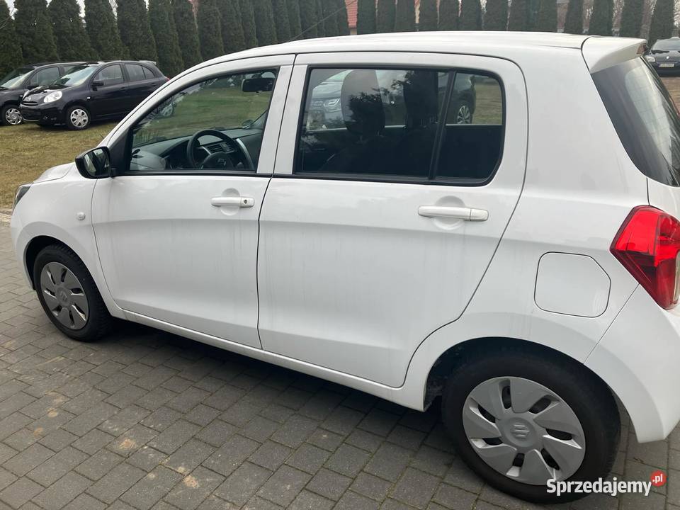 Suzuki Celerio Bezwypadkowy Z Niemiec Mały biały sprzedam