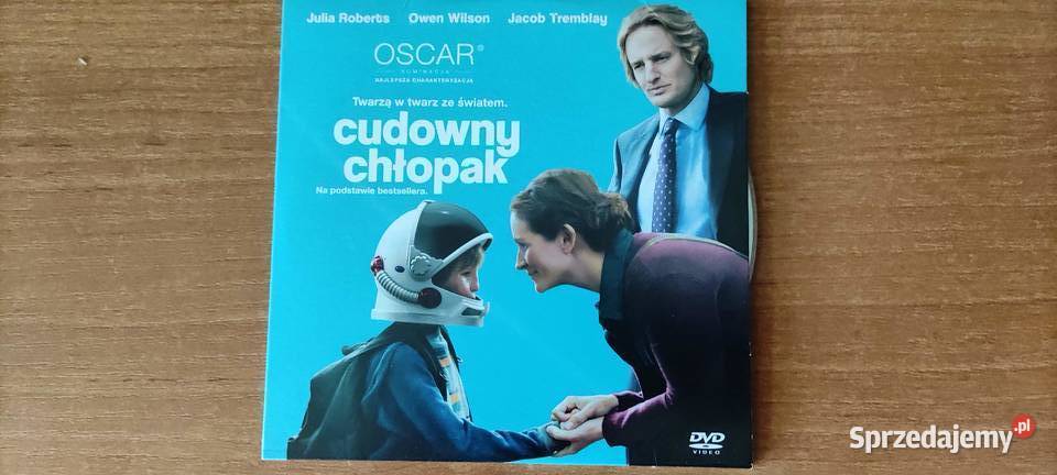 Cudowny chłopak Roberts Wilson Tremblay Gliwice