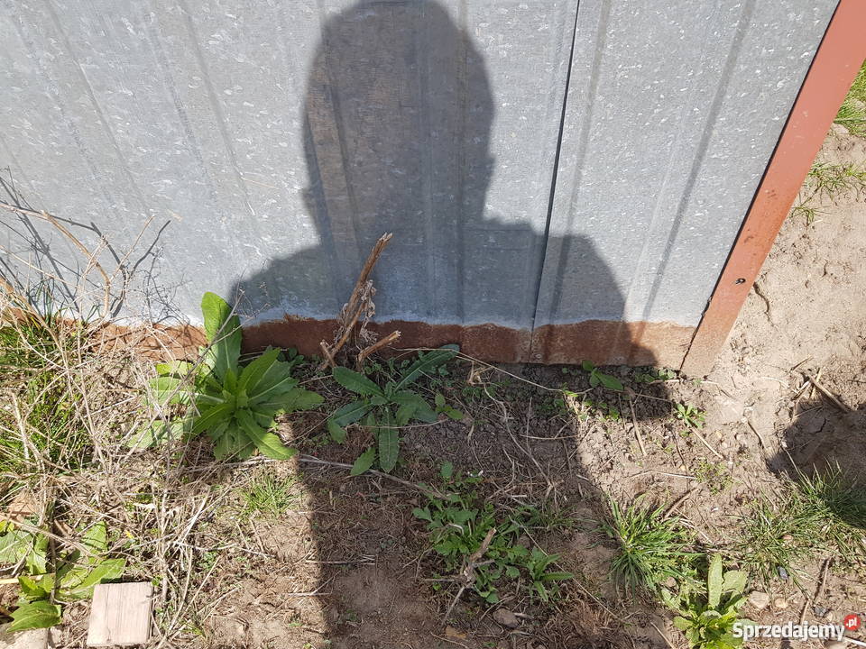 Garaż blaszany 5x3 sprzedam