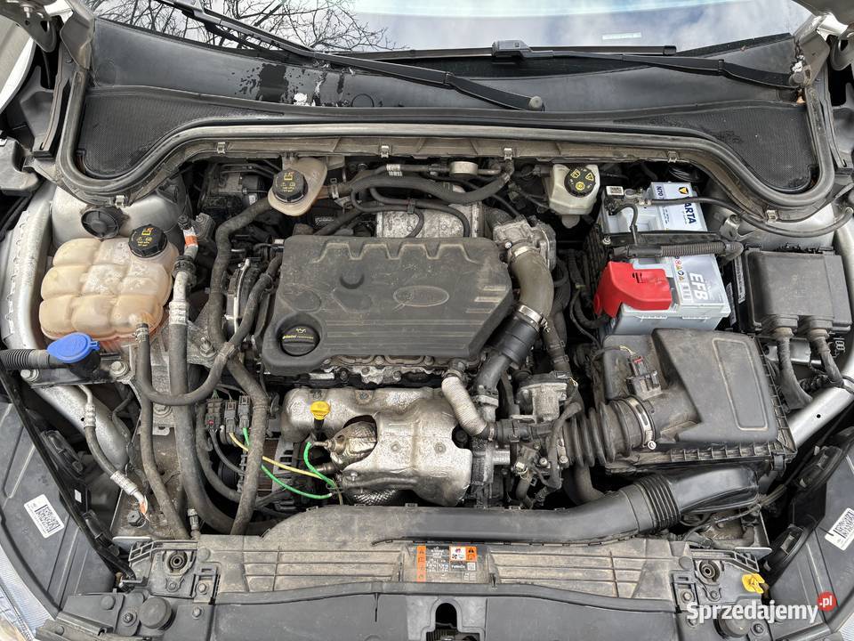 Ford Focus MK4 2020 15 EcoBlue Diesel bez AdBlue dolnośląskie Wrocław sprzedam